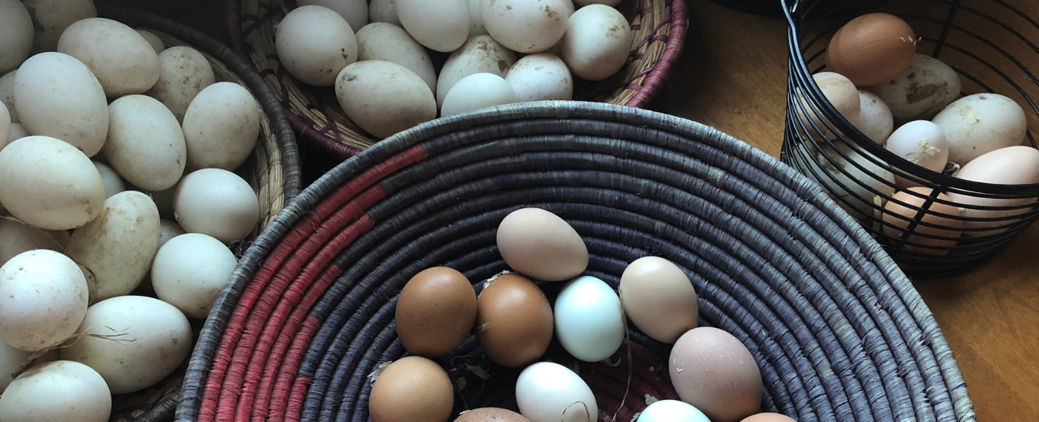 header_diversification