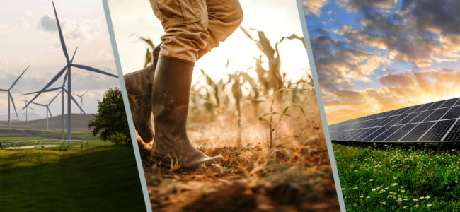 5 essential criteria for investing in impact starts-ups: A guide for private investors