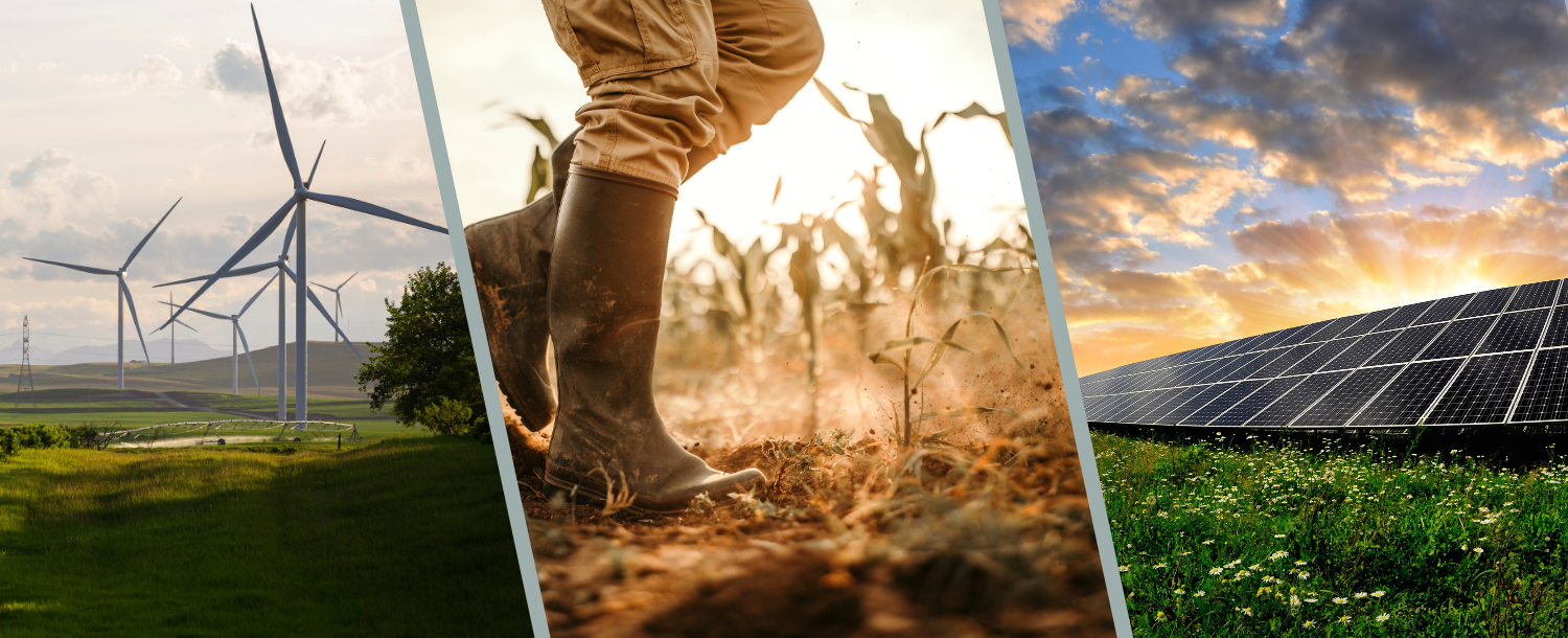 5 essential criteria for investing in impact starts-ups: A guide for private investors