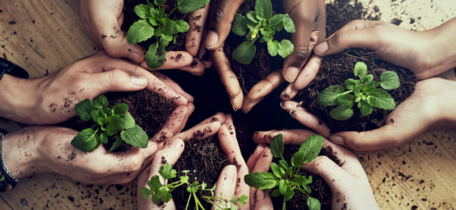 Impact investing: What investors need to know