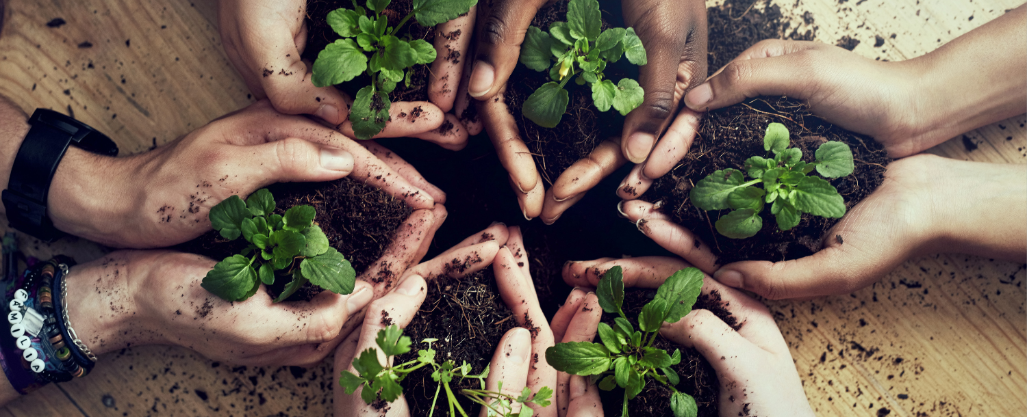 Impact investing: What investors need to know